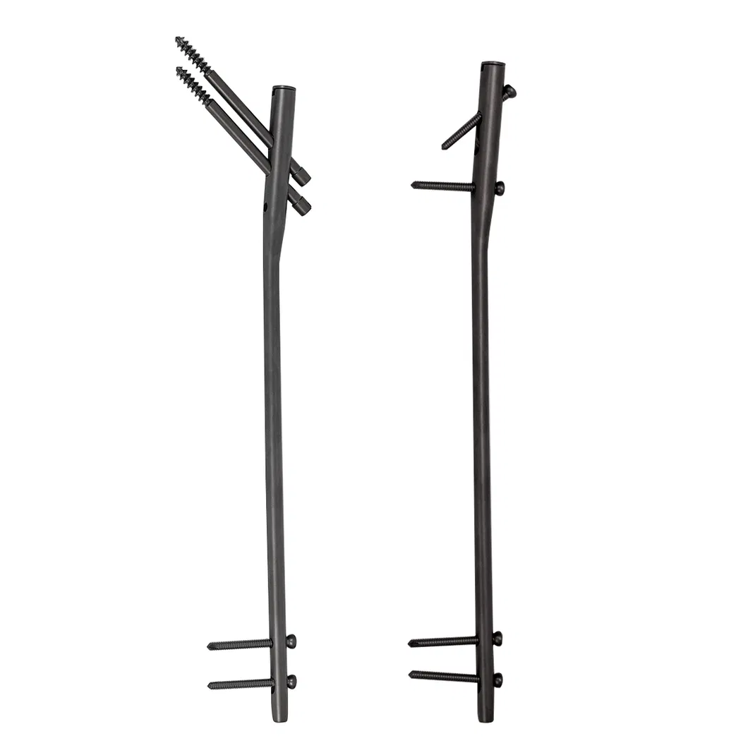 Intramedullary Nails Detail