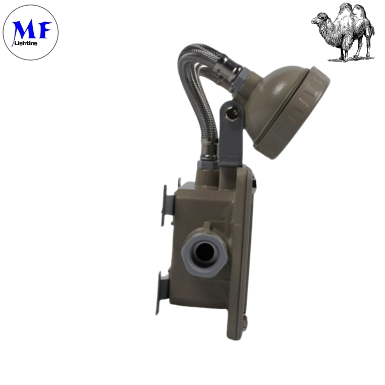 Factory Price 2*5W Emergency Exit Light Explosion Proof Emergency Light for Industrial Zones Mining Areas Chemical Plants Oil and Gas Facilities Hospital