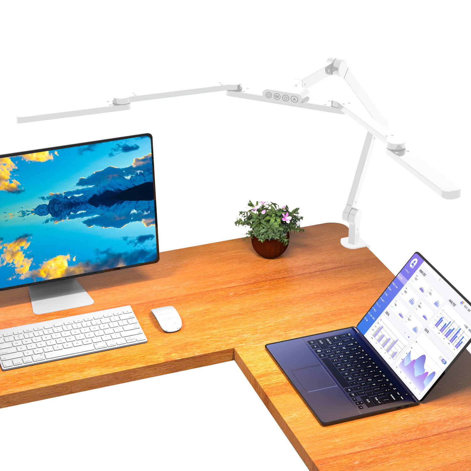 Desk Lamp