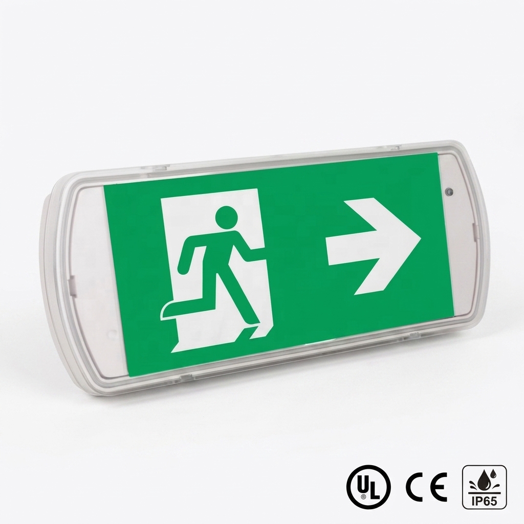 IP65 Waterproof Plastic LED Emergency Exit Light Wall Mounted Recessed High Performance Emergency Lighting System Sign 4-Year