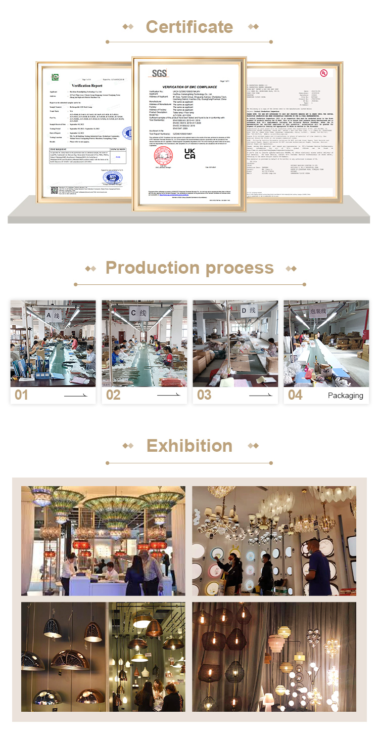 Company Showcase 2