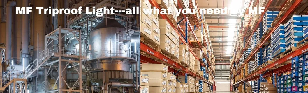 Food Industry Lighting Application
