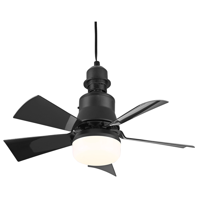 30W LED Lamp Indoor Decorative Living Room Remote Control Modern Ceiling Fan Lighting