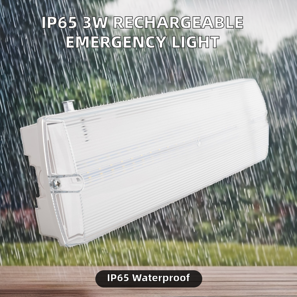 IP65 Waterproof 180mins 3W Hotel Bulkhead Emergency Light Rechargeable Exit Sign Led Plastic 4-Year Warranty Factory Price