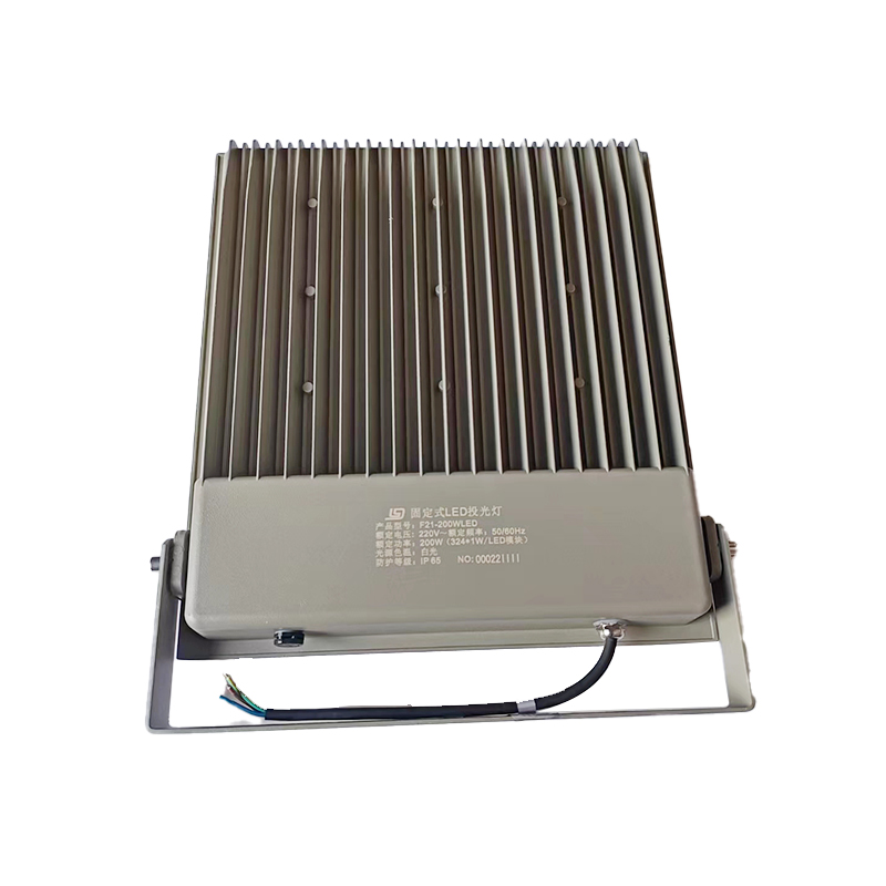 High Power 100w/200w/250w/700w COB LED Flood Light Waterproof Outdoor Aluminum Stadium Floodlight with IP66 for Gardens