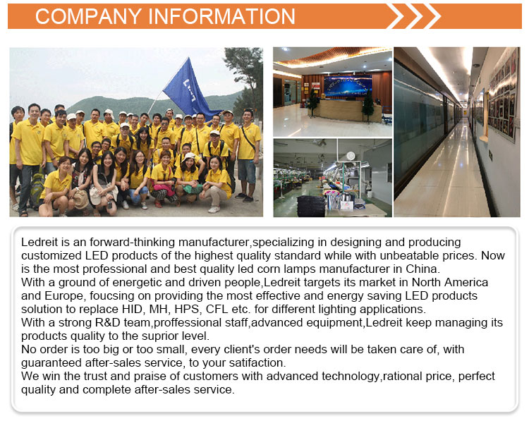 Company View