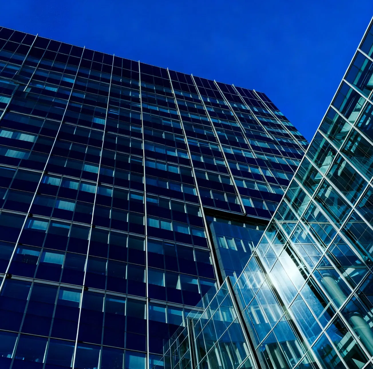High-Quality Curtain Wall Systems for Modern Architecture Projects