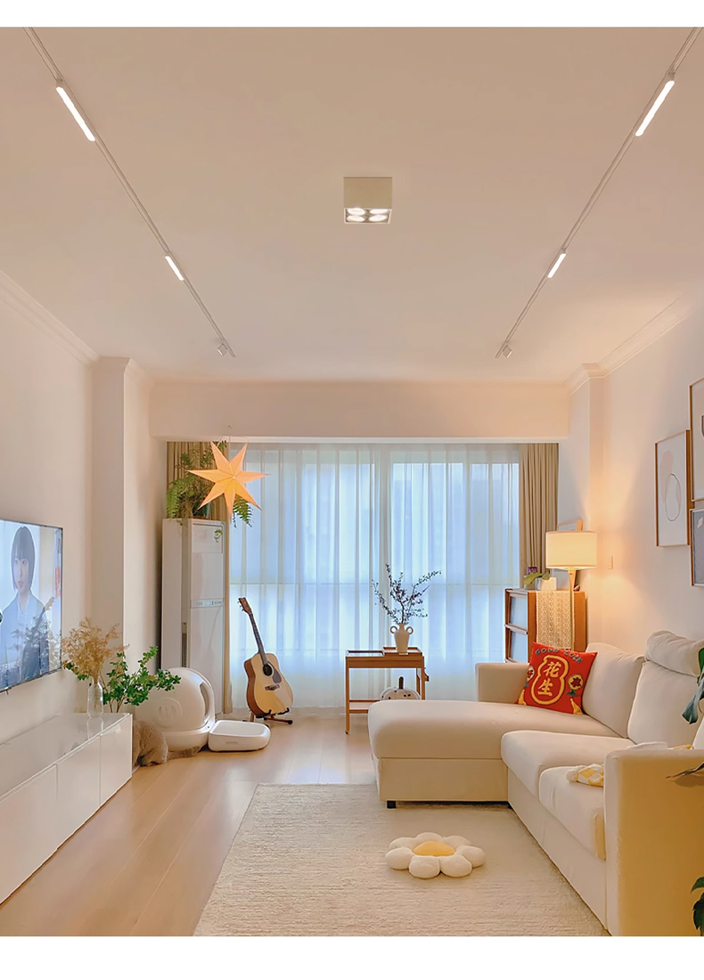 Whole-House Smart 48V LED Magnetic Track Lights System