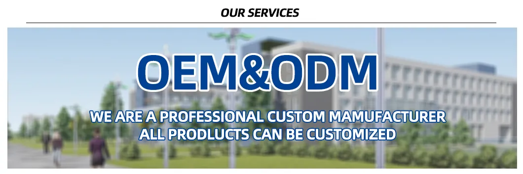 Professional Series Street Light Outdoor LED for Municipal Infrastructure Improvement Projects