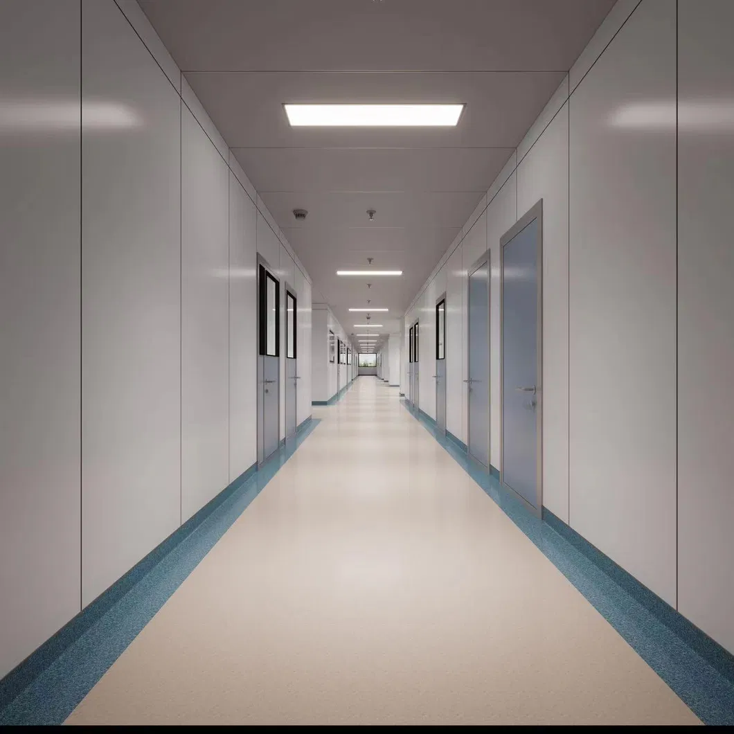 Premium Cleanroom Solutions for Enhanced Hygiene and Performance