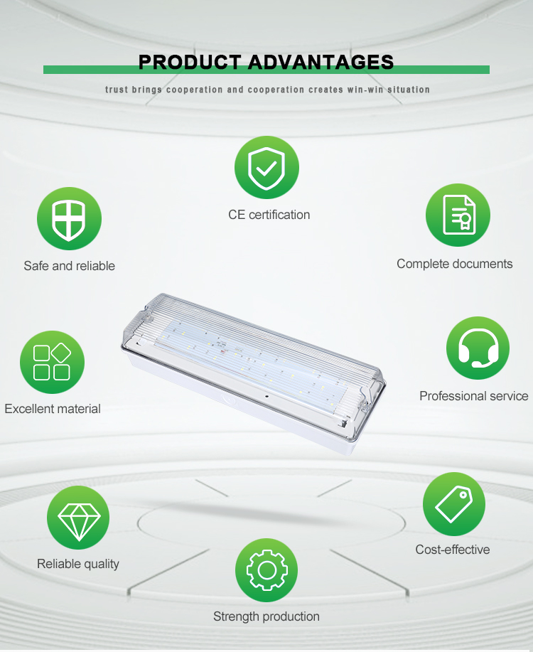 High Quality Emergency Light Professional Class 1 Protection Emergency Bulkhead Led Emergency Exit Light