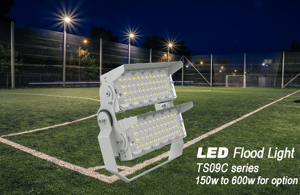 LED Flood Light