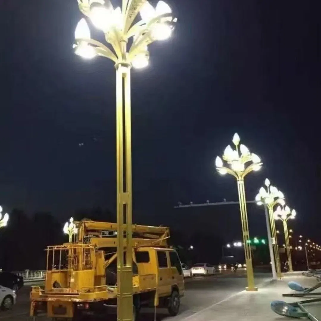 Professional Series Street Light Outdoor LED for Municipal Infrastructure Improvement Projects