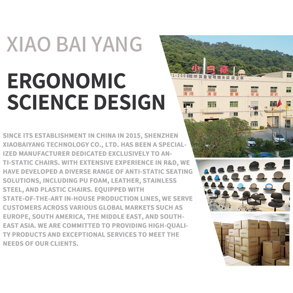 ESD Chair For Lab Professional Science School Student Computer Biology Physic Chemistry Hospital Cleanroom Industrial Workshop