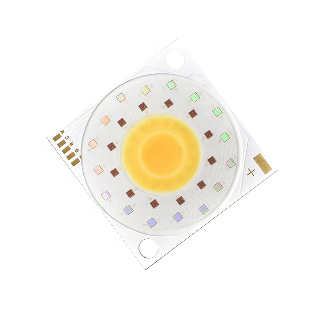10w 50w 100w Rgbw Led High Brightness Custom Led Chip for Project Lighting