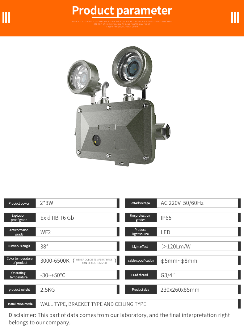ATEX LED Explosion Proof Emergency Light