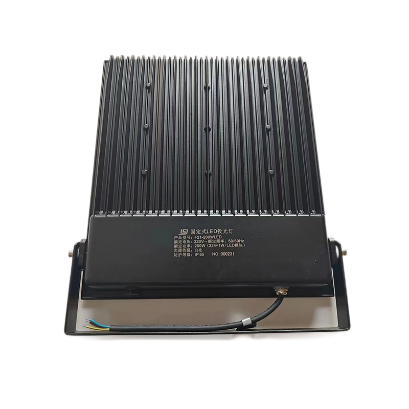 High Power 100w/200w/250w/700w COB LED Flood Light Waterproof Outdoor Aluminum Stadium Floodlight with IP66 for Gardens