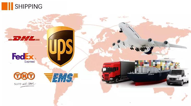 Shipping Logistics