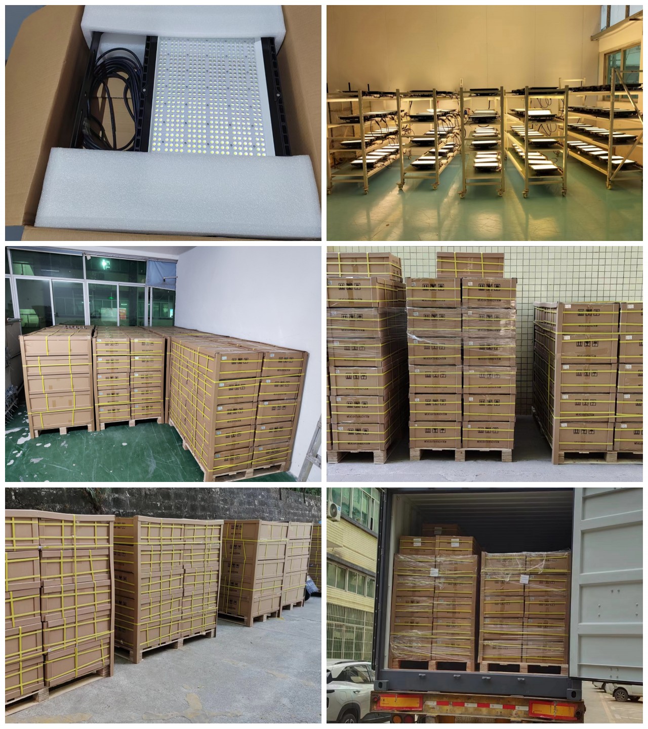 LED Flood Light 12