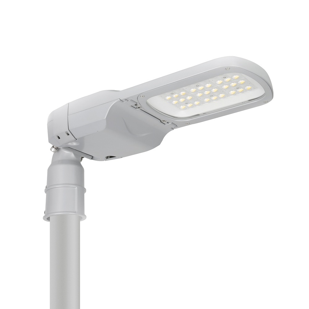 New Trends Smart Street Light Controller LORA Street Light LED 30W 50W with Intelligent Street Light Control