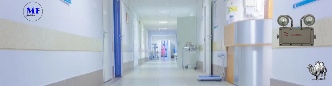 Pharmaceutical Application