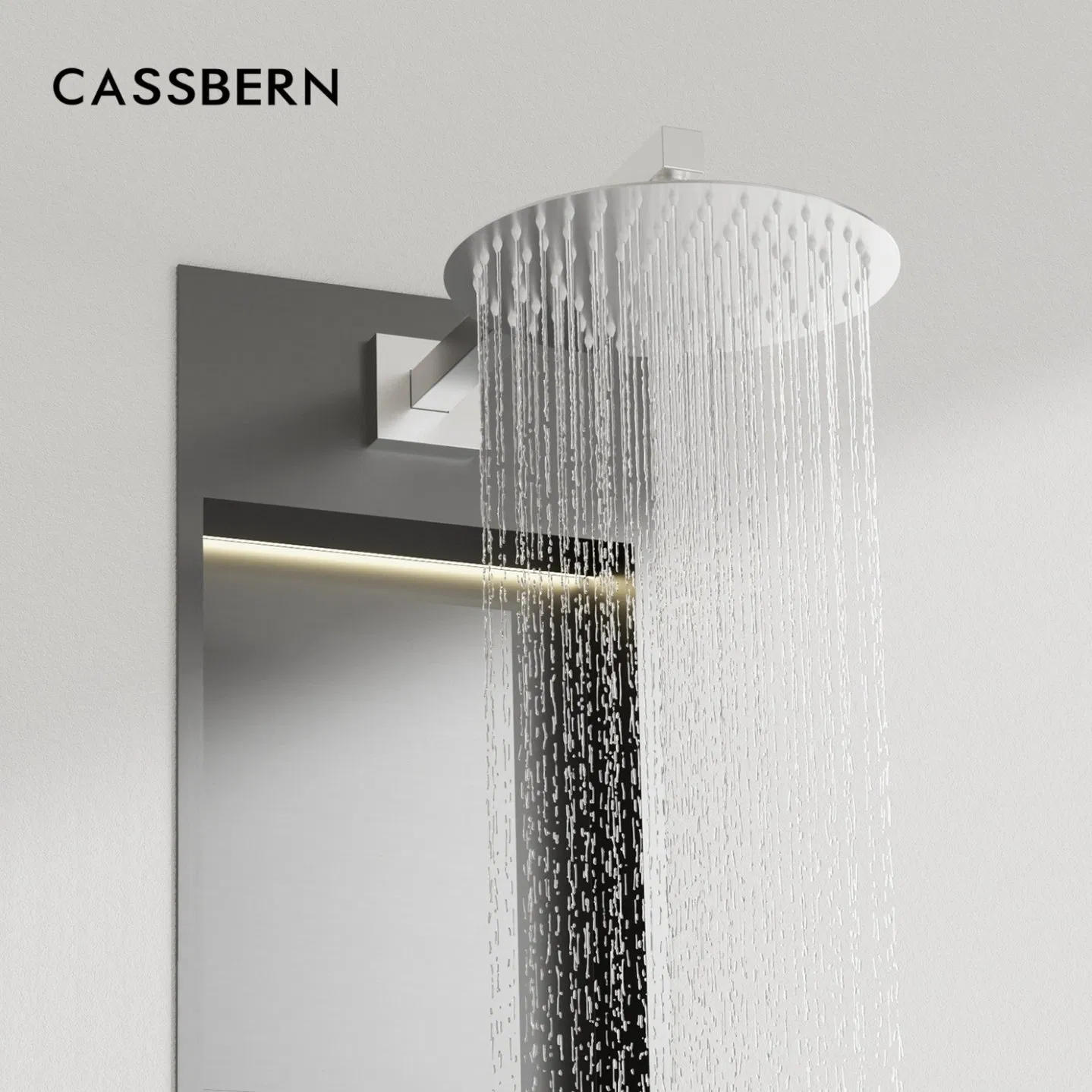 Dual Function Niche Shower Head Cleaning System with Handheld Spray
