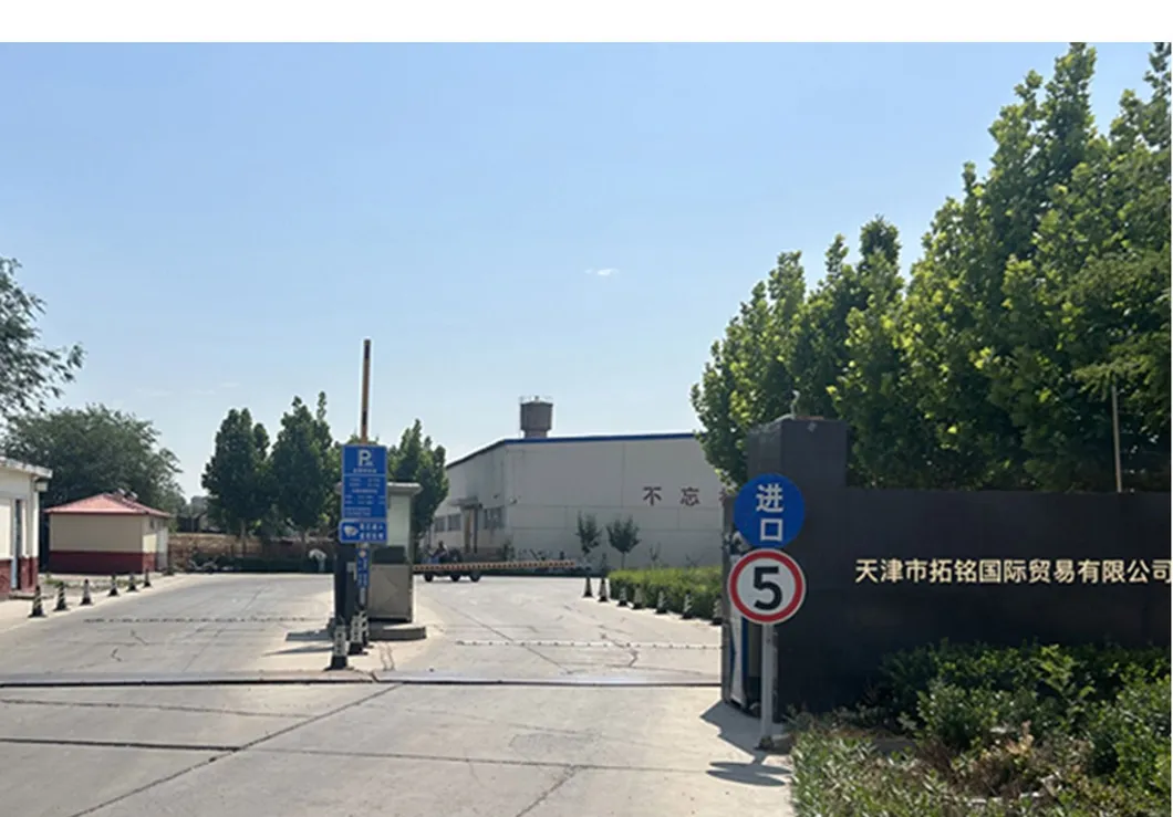 Stainless Steel Street Lighting System Pole and Bracket Complete Assembly
