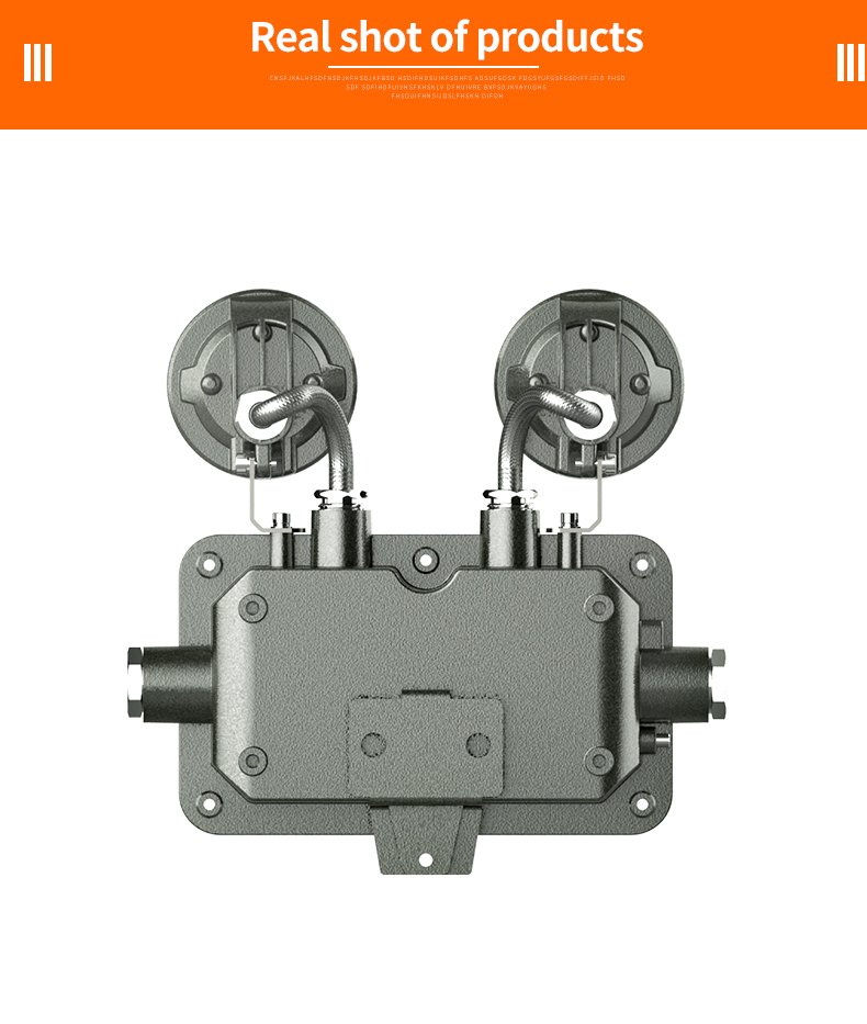 ATEX LED Explosion Proof Emergency Light
