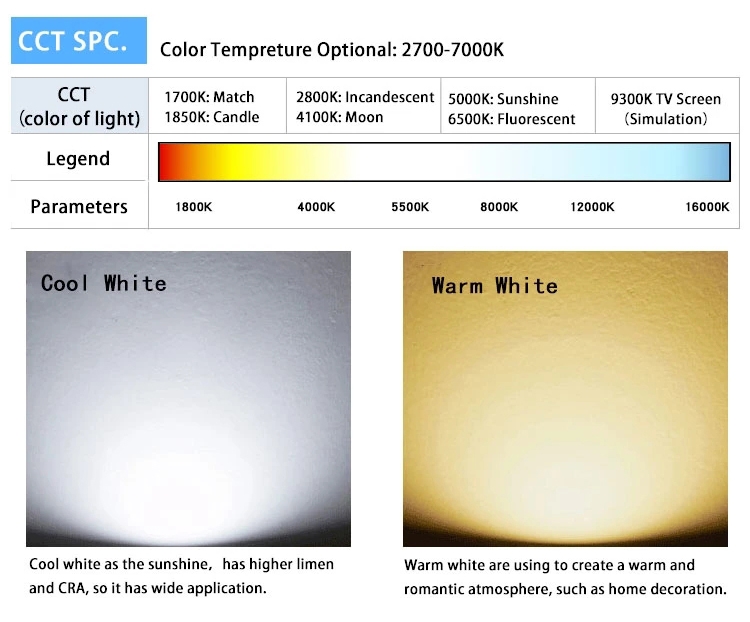 Recommended Solar Light 2