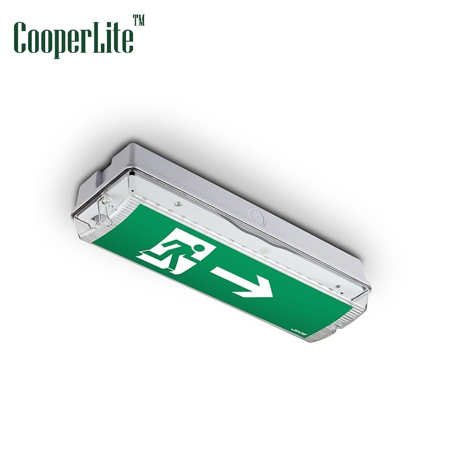 Automatically Waterproof Wall And Ceiling Mounted Maintained/non-maintained Emergency Bulkhead Light
