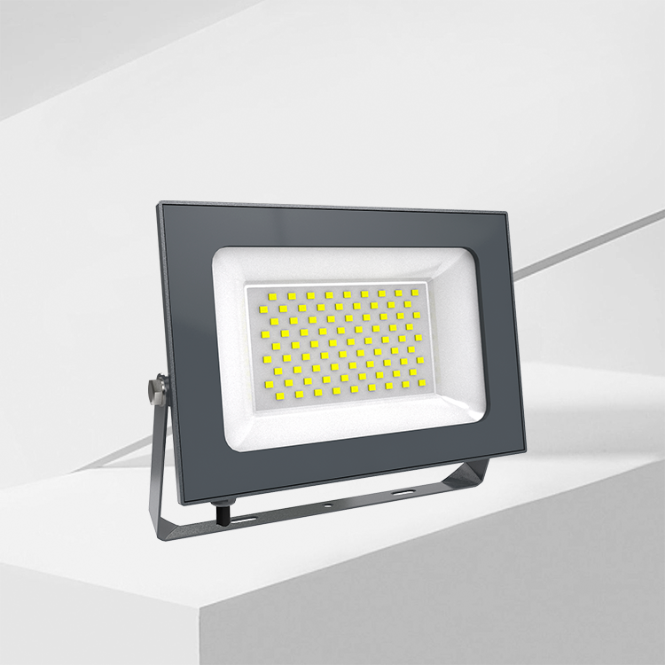 OUTLUX E009 FIREFLY Sports Stadium Led Flood Light IP65 Lightweight 10w-200w Infrared Sensor Doorway Parks Outdoor Lights