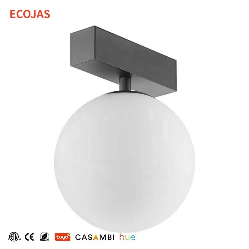 ECOJAS New Listing 2700k/3000k/4000k Retail Illumination Magneto Led Magnetic Track Light System