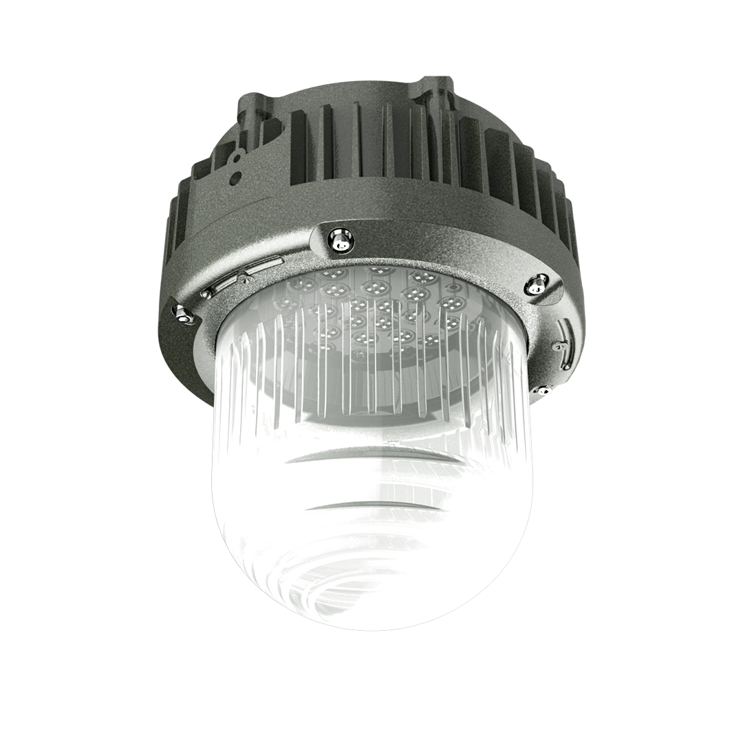 Long Life Cheap Explosion Proof Light Led 60W Explosion Proof Lamp Explosion-proof Lights For Warehouse Gas Station