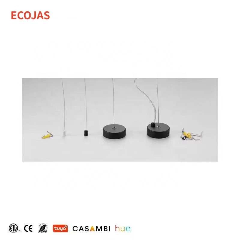 ECOJAS New Listing 2700k/3000k/4000k Retail Illumination Magneto Led Magnetic Track Light System