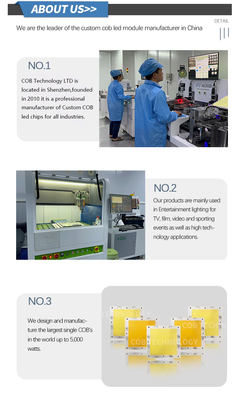 Company Information details