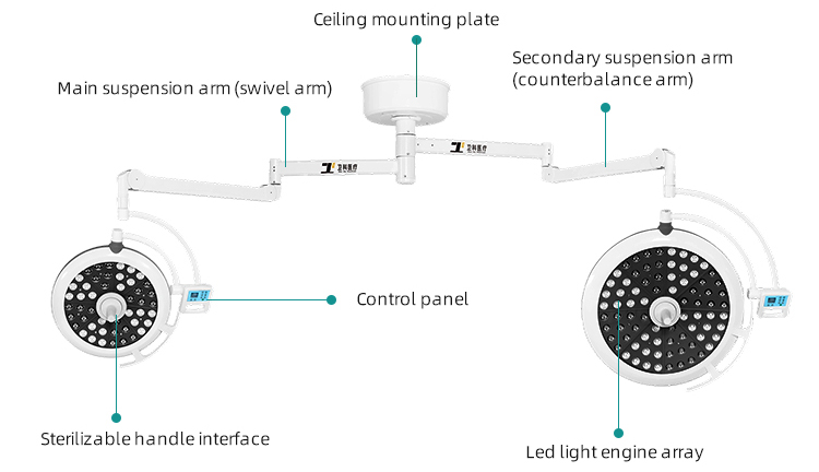 Internal Structure