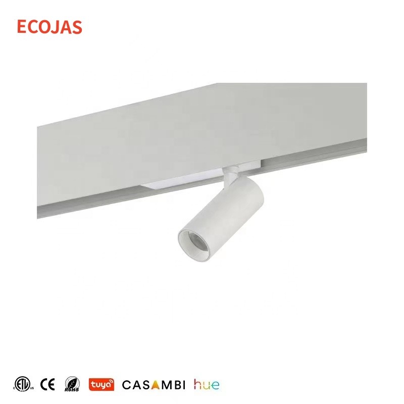 ECOJAS New Listing 2700k/3000k/4000k Retail Illumination Magneto Led Magnetic Track Light System
