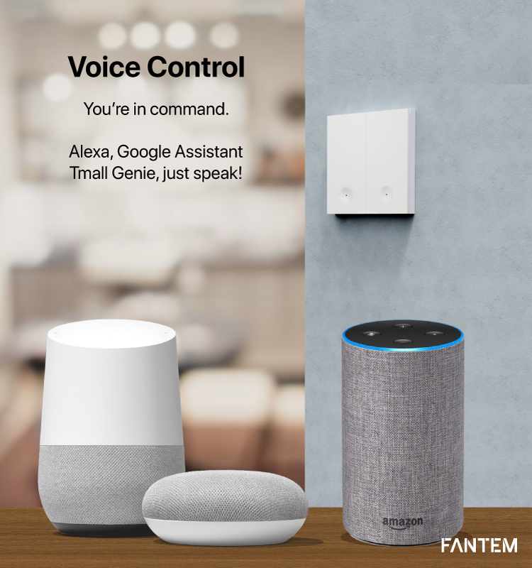 Best Smart House Alexa Wireless Remote Switch Wifi Smart Touch Wall Light Switch With Smart Life Tuya App Alexa and Google Home