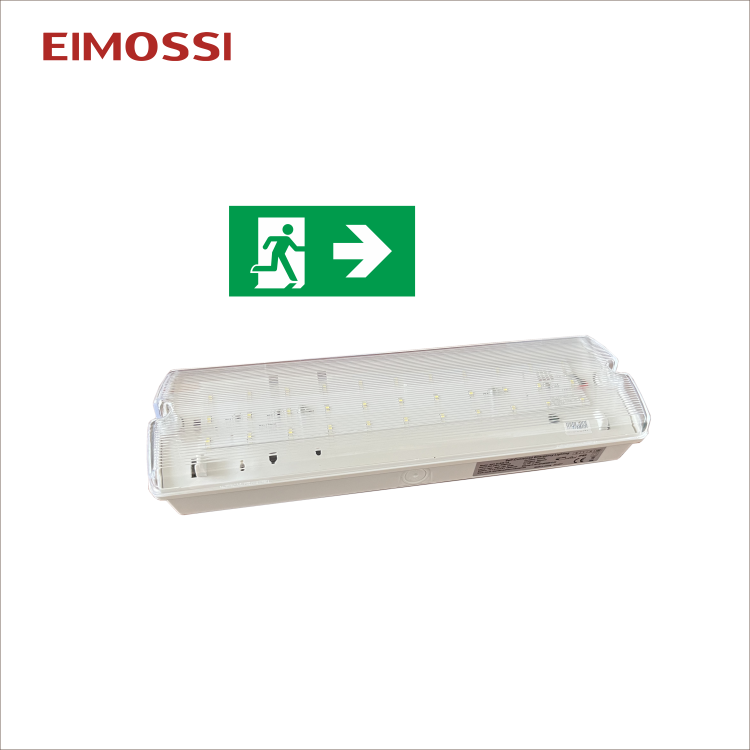 Bulkhead Emergency Light View 1