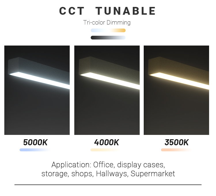 Lighting Output Details