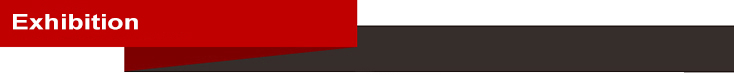 Quality Standards Banner