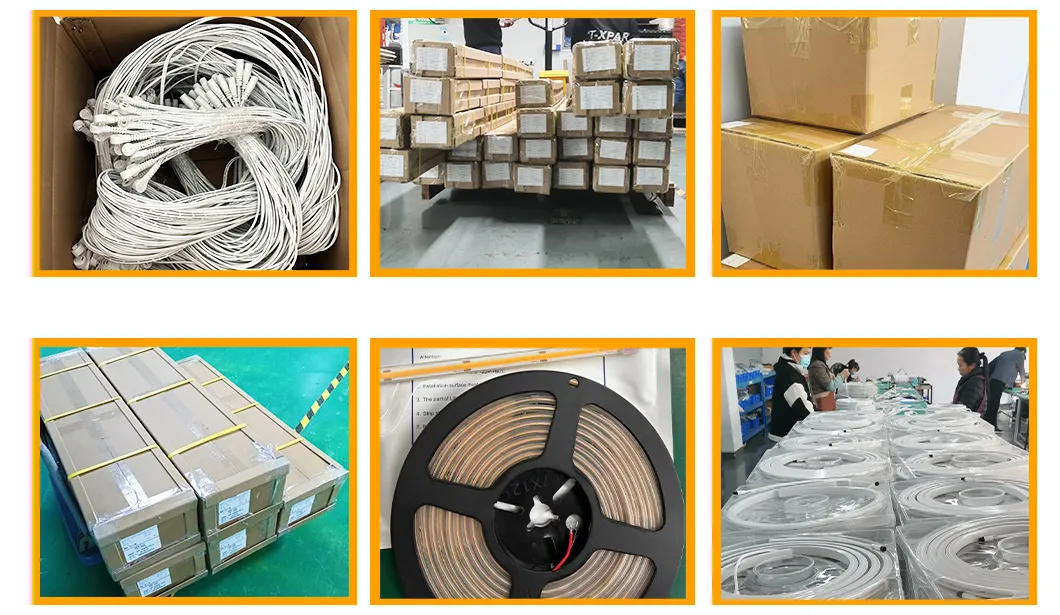 Professional Packaging & Shipping Standard