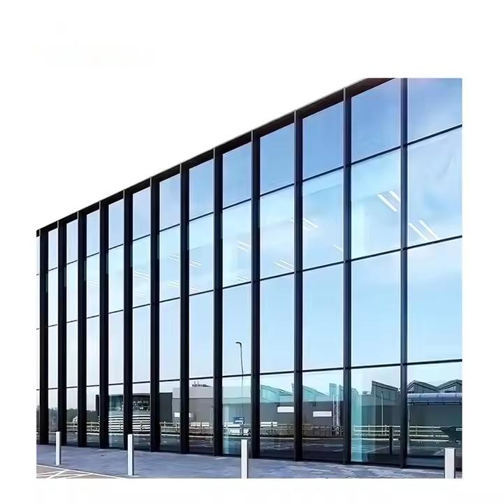 Modern Design Glass Curtain Wall System with Insulated Glass Panel Competitive Pricing