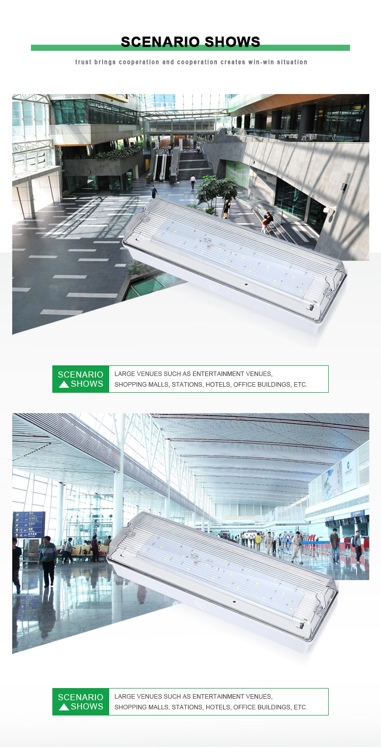 High Quality Emergency Light Professional Class 1 Protection Emergency Bulkhead Led Emergency Exit Light