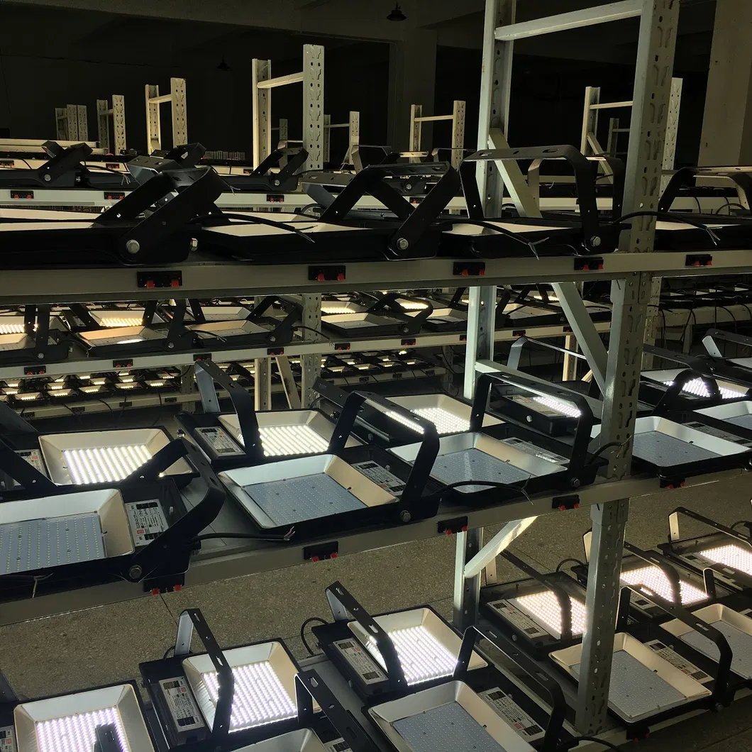 Low Voltage 30W Outdoor LED Flood Lights