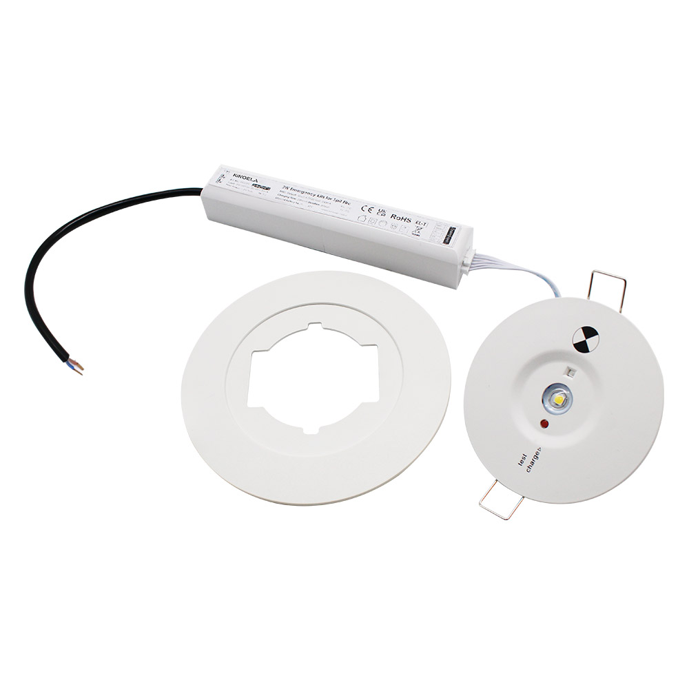 Reliable Emergency Lighting - Non-Maintained, Recessed Design, 220V, IP20, Aluminium Frame, Indoor Safety Solution