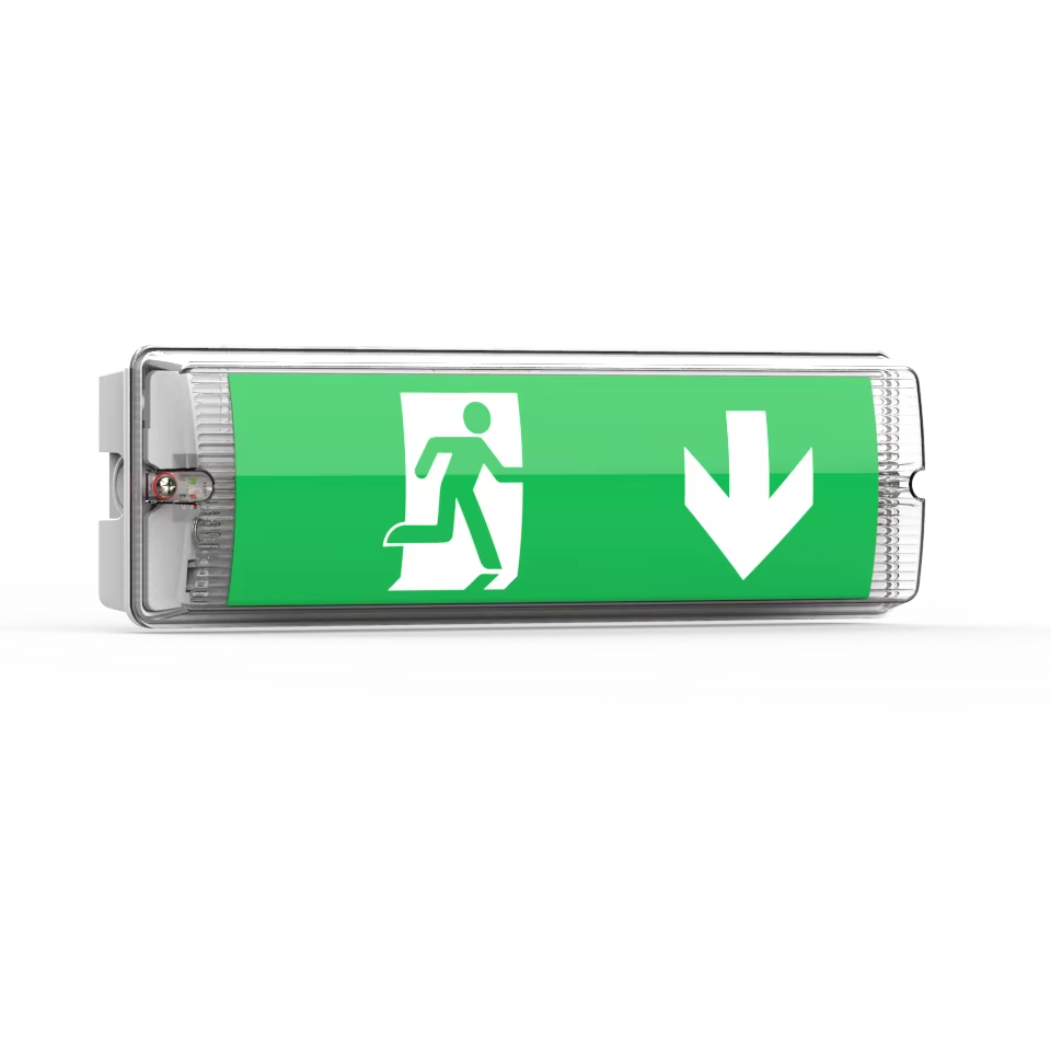 Automatically Waterproof Wall And Ceiling Mounted Maintained/non-maintained Emergency Bulkhead Light