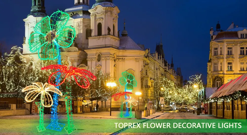 Outdoor Garden LED Light Displays Lighting View