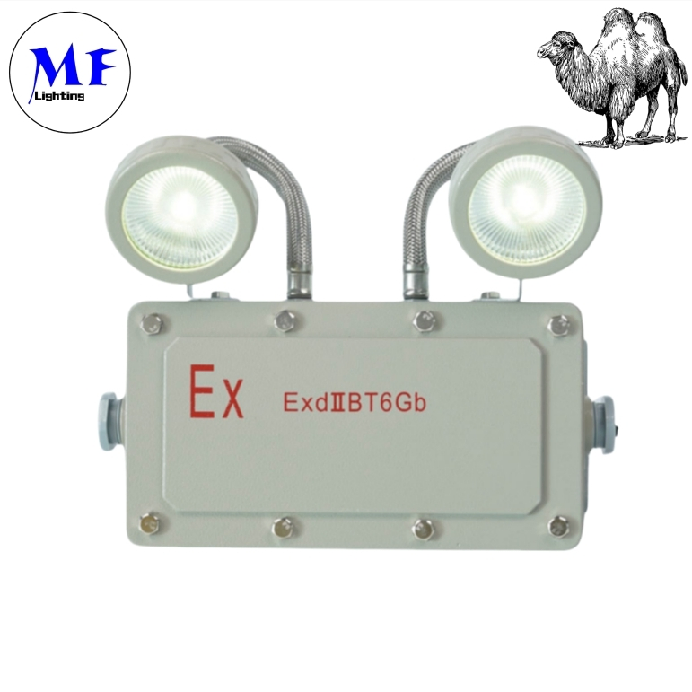 Factory Price 2*5W Emergency Exit Light Explosion Proof Emergency Light for Industrial Zones Mining Areas Chemical Plants Oil and Gas Facilities Hospital