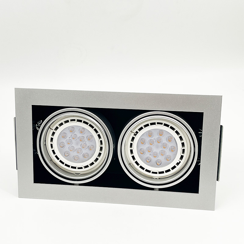 Modern 7w 15w 50w Commercial LED Downlight for Hotels Double-Head Ceiling Downlight with Adjustable Light Source for Living Room